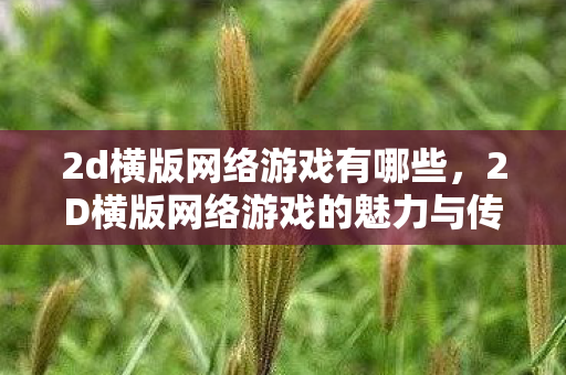 2d横版网络游戏有哪些，2D横版网络游戏的魅力与传承