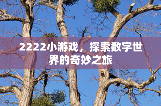 2222小游戏，探索数字世界的奇妙之旅
