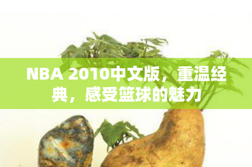 NBA 2010中文版,重温经典,感受篮球的魅力 NBA 2010中文版,重温经典,感受篮球的魅力