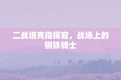 二战坦克指挥官，战场上的钢铁骑士