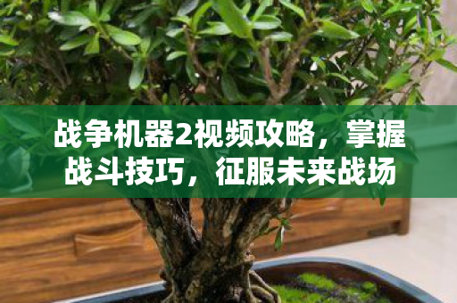 战争机器2视频攻略，掌握战斗技巧，征服未来战场