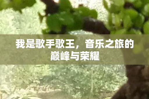 我是歌手歌王，音乐之旅的巅峰与荣耀