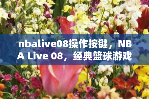 nbalive08操作按键，NBA Live 08，经典篮球游戏的操作指南