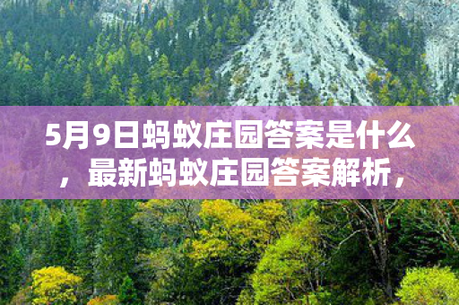 5月9日蚂蚁庄园答案是什么，最新蚂蚁庄园答案解析，探索知识的宝藏，就在蚂蚁庄园的每一天（5月9日答案篇）