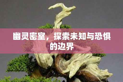 幽灵密室，探索未知与恐惧的边界
