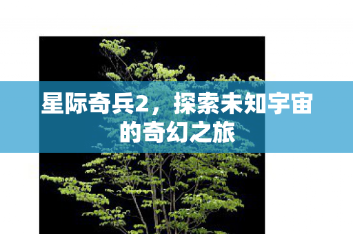 星际奇兵2，探索未知宇宙的奇幻之旅