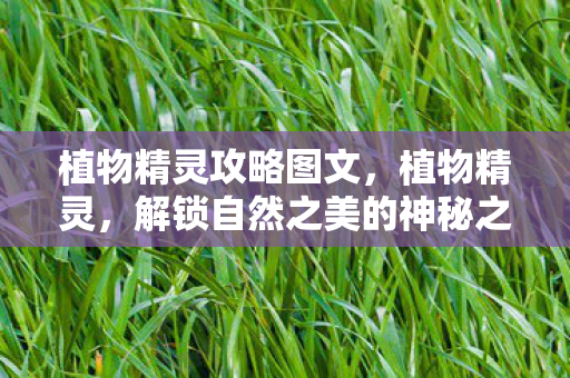 植物精灵攻略图文，植物精灵，解锁自然之美的神秘之旅