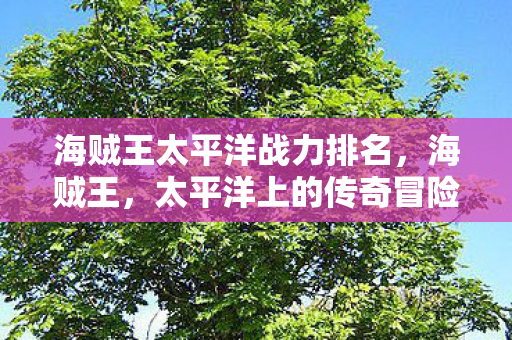 海贼王太平洋战力排名，海贼王，太平洋上的传奇冒险