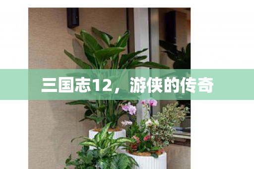 三国志12,游侠的传奇 三国志12,游侠的传奇