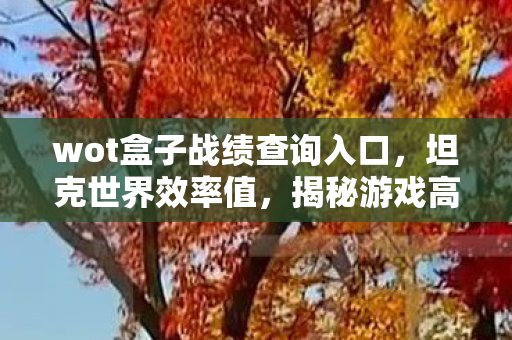 wot盒子战绩查询入口，坦克世界效率值，揭秘游戏高手的制胜秘诀