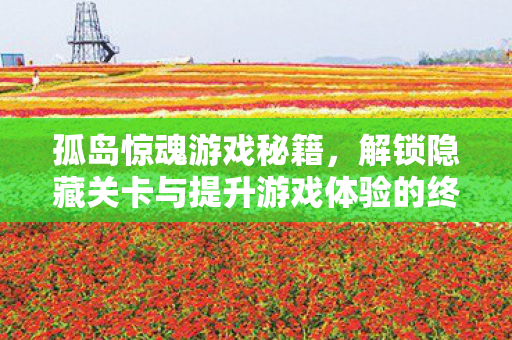 孤岛惊魂游戏秘籍，解锁隐藏关卡与提升游戏体验的终极指南