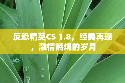 反恐精英CS 1.8，经典再现，激情燃烧的岁月