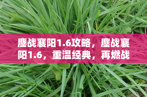 鏖战襄阳1.6攻略，鏖战襄阳1.6，重温经典，再燃战火