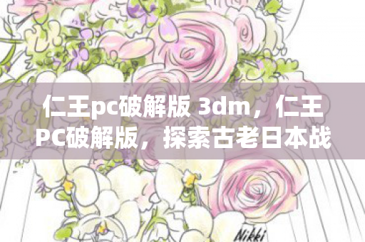仁王pc破解版 3dm，仁王PC破解版，探索古老日本战国的黑暗幻想之旅