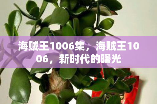 海贼王1006集，海贼王1006，新时代的曙光