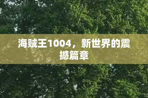 海贼王1004，新世界的震撼篇章