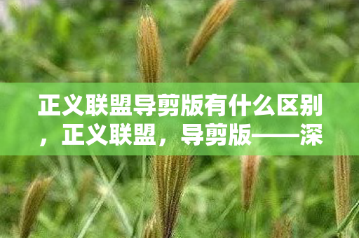 正义联盟导剪版有什么区别，正义联盟，导剪版——深度解析其独特之处