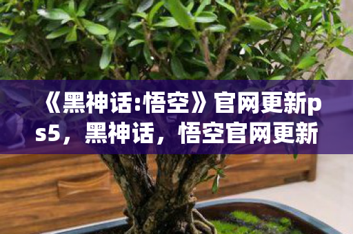 《黑神话:悟空》官网更新ps5，黑神话，悟空官网更新，引发玩家热议