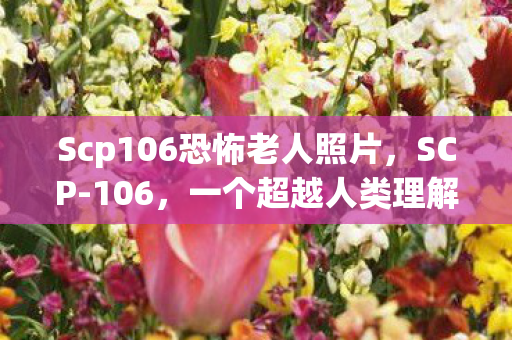 Scp106恐怖老人照片，SCP-106，一个超越人类理解的神秘存在