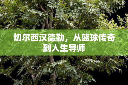 切尔西汉德勒，从篮球传奇到人生导师