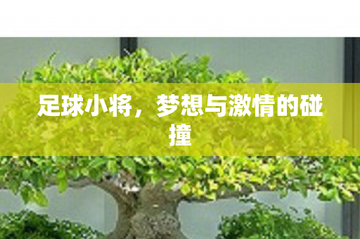 足球小将，梦想与激情的碰撞
