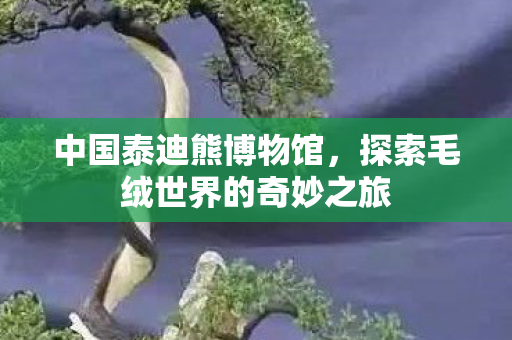 中国泰迪熊博物馆，探索毛绒世界的奇妙之旅