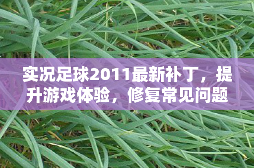 实况足球2011最新补丁，提升游戏体验，修复常见问题