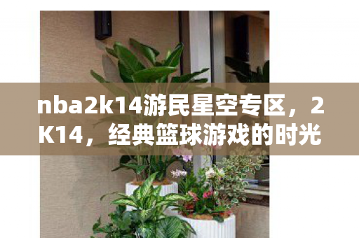 nba2k14游民星空专区，2K14，经典篮球游戏的时光之旅