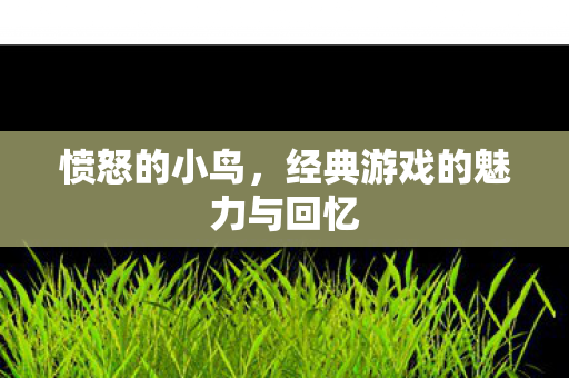 愤怒的小鸟，经典游戏的魅力与回忆