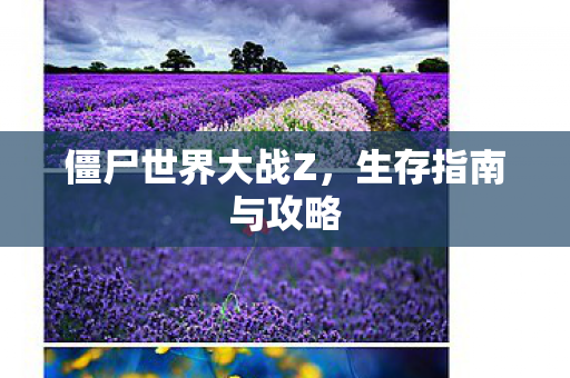 僵尸世界大战Z，生存指南与攻略