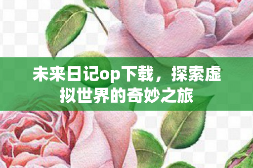 未来日记op下载，探索虚拟世界的奇妙之旅