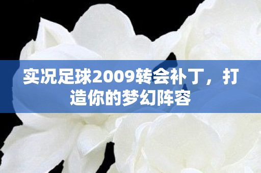 实况足球2009转会补丁，打造你的梦幻阵容