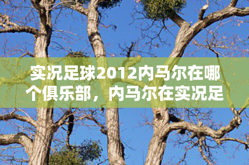 实况足球2012内马尔在哪个俱乐部，内马尔在实况足球2012中的传奇表现