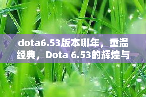 dota6.53版本哪年，重温经典，Dota 6.53的辉煌与回忆