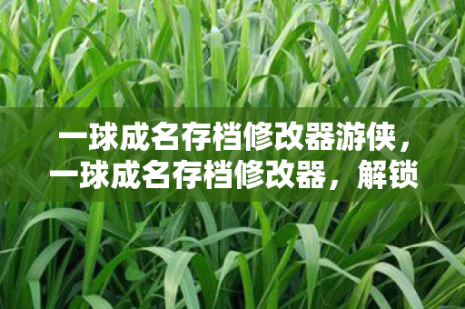 一球成名存档修改器游侠,一球成名存档修改器,解锁无限可能的足球梦想 一球成名存档修改器游侠,一球成名存档修改器,解锁无限可能的足球梦想