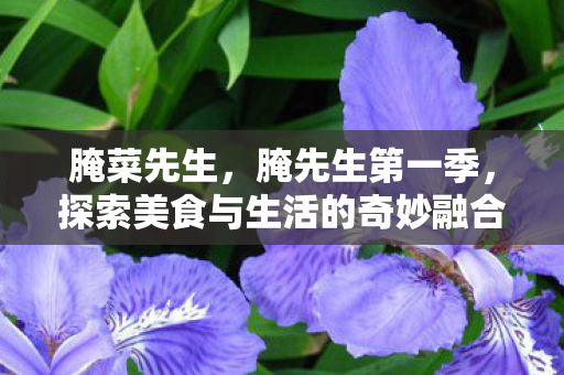 腌菜先生,腌先生第一季,探索美食与生活的奇妙融合 腌菜先生,腌先生第一季,探索美食与生活的奇妙融合