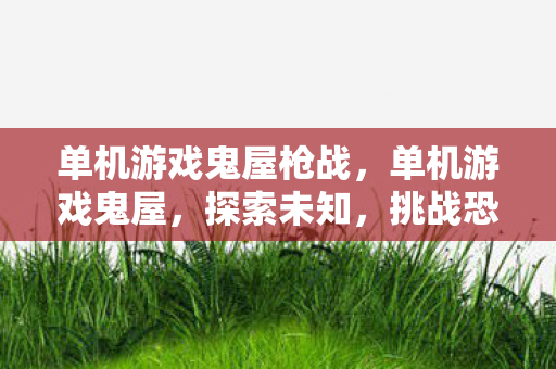 单机游戏鬼屋枪战，单机游戏鬼屋，探索未知，挑战恐惧