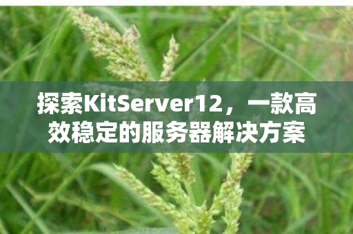 探索KitServer12,一款高效稳定的服务器解决方案 探索KitServer12,一款高效稳定的服务器解决方案