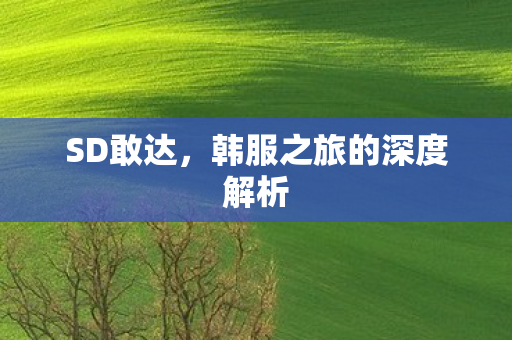 SD敢达，韩服之旅的深度解析
