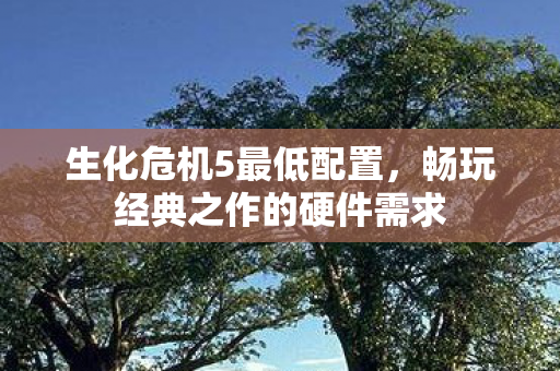生化危机5最低配置,畅玩经典之作的硬件需求 生化危机5最低配置,畅玩经典之作的硬件需求