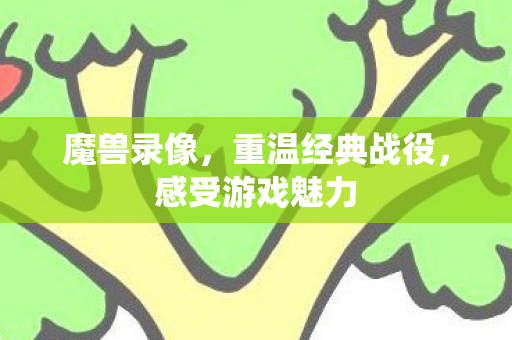 魔兽录像，重温经典战役，感受游戏魅力