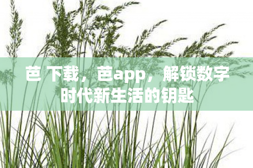 芭 下载，芭app，解锁数字时代新生活的钥匙
