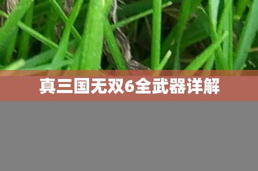 真三国无双6全武器详解