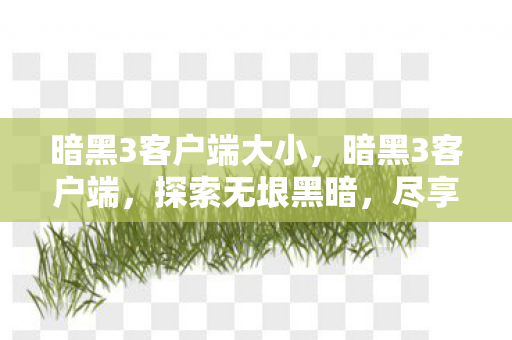 暗黑3客户端大小，暗黑3客户端，探索无垠黑暗，尽享极致游戏体验
