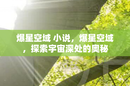 爆星空域 小说,爆星空域,探索宇宙深处的奥秘 爆星空域 小说,爆星空域,探索宇宙深处的奥秘