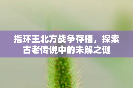 指环王北方战争存档，探索古老传说中的未解之谜