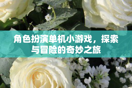 角色扮演单机小游戏,探索与冒险的奇妙之旅 角色扮演单机小游戏,探索与冒险的奇妙之旅