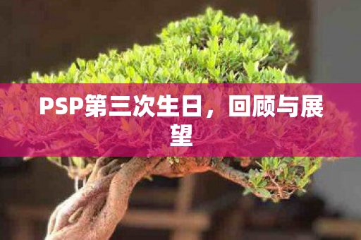PSP第三次生日,回顾与展望 PSP第三次生日,回顾与展望