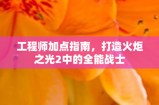 工程师加点指南，打造火炬之光2中的全能战士