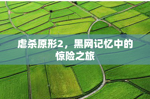 虐杀原形2,黑网记忆中的惊险之旅 虐杀原形2,黑网记忆中的惊险之旅